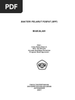 Download Makalah Bakteri Pelarut Fosfat by taqqur SN145458506 doc pdf