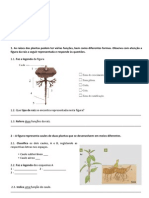 128969089 Ficha de Avaliacao CN5 Plantas PDF