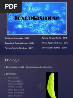 Toxoploplasmose (2)