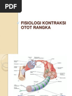 Fisiologi Kontraksi Otot Rangka