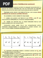 Download Curs  ChimieFizicaColoidala by Gabriel Profil SN145505926 doc pdf