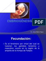 Embriogénesis