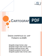 Cartografia