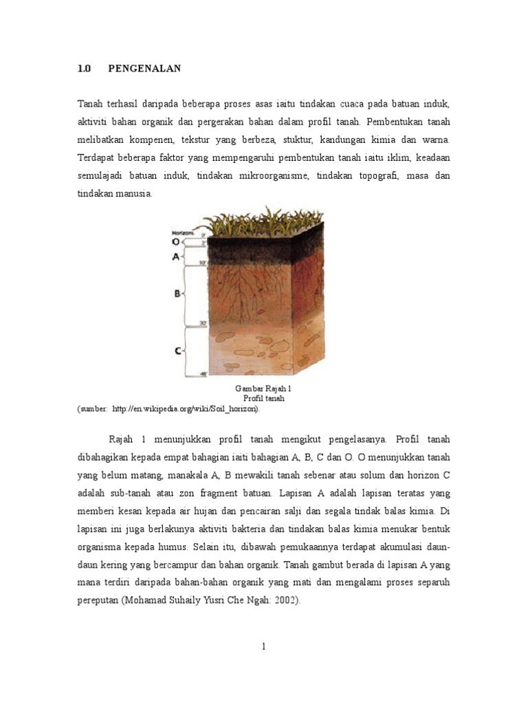 Tanah Gambut Pdf