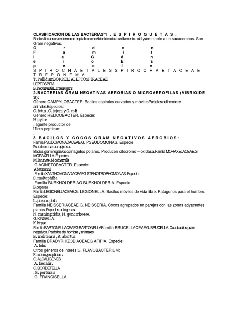 CLASIFICACIÓN DE LAS BACTERIAS