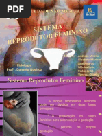 Sist Reprod Feminino