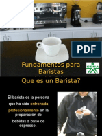 47494969 Introduccion Al Barismo