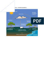 CICLO   BIOGEOQUIMICO