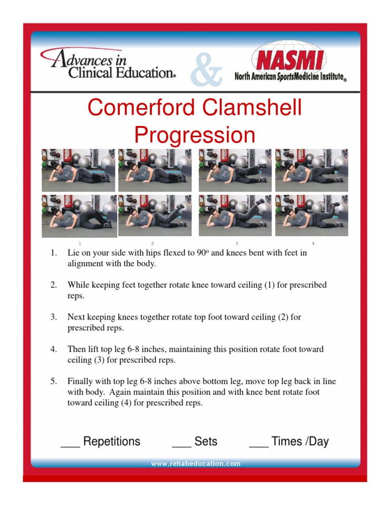 Comerford Clamshell Progression Limbs (Anatomy) Lower Limb Anatomy