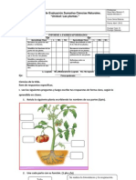 ADECUACION Evaluacion Cienciasnat 3ros Unidad Plantas