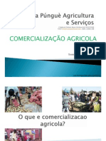 Comercializacao Agricola - Khulima Pungue KPAS PDF