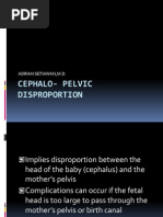 Download Cephalo- Pelvic Disproportion 2013 by Elvina Setiadi Chen SN145623439 doc pdf