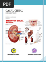 Download MAKALAH GAGAL GINJAL by Sandri Oratmangun SN145635191 doc pdf