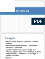 01 - Faringologia - Anatomie - Fiziologie