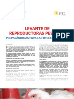 3 Levante de Reproductoras Pesadas - Preparándolas para La Fotoestimulación PDF