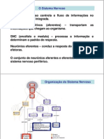 FisiologiaSistemaNervosoI PDF