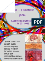 BBB-Blood Brain Barrier