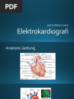 Download elektrokardiografi  by Edo Pramana Putra SN145672466 doc pdf