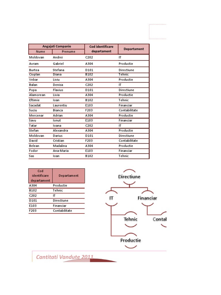 Proiect Informatica Economica (Excel) | PDF