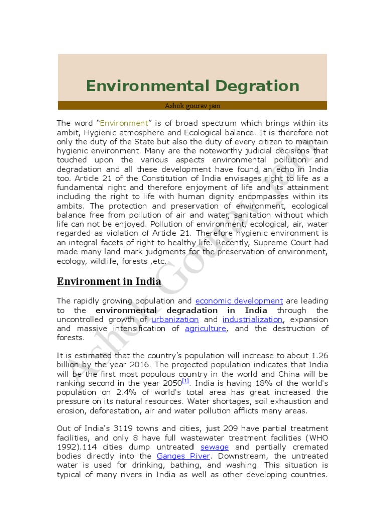 essay on the environmental degradation