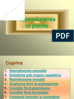 Reproduce Re a Laplante