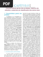 Degustação Glossário de Protistologia: Verbetes Utilizados No Estudo de Protozoários, Algas e Protistas Fungoides