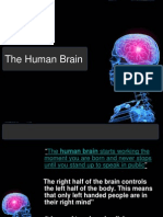 Brain Final PPT