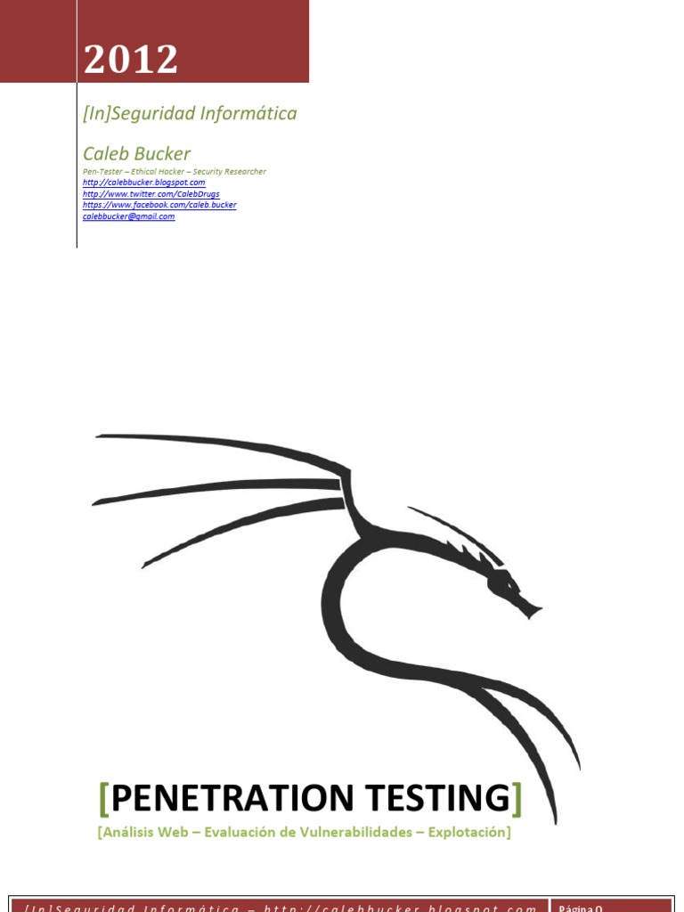 Penetration Testing PDF | PDF