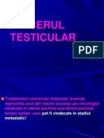 Cc.testicular