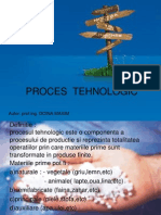 proces_tehnologic