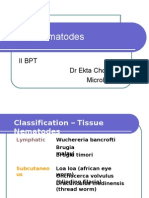 Tissue Nematodes