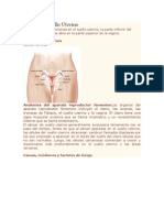 Cáncer de Cuello Uterino