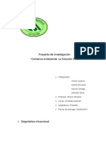 Planificacion Proyecto Ambulantes 2003-2