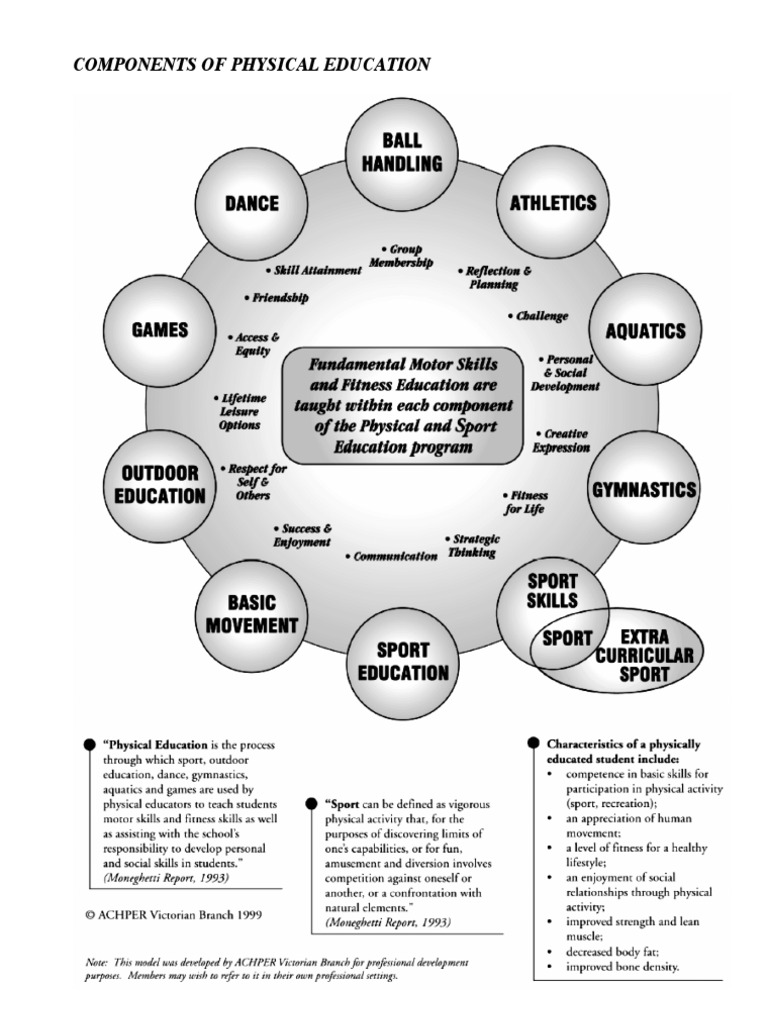 PE - Components | PDF