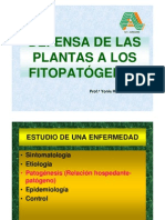 Defensa de Plantas 2010