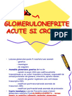 Glomerulonefrite Acute Cronice