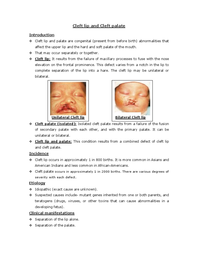 Cleft Lip and Palate Overview | PDF | Breastfeeding | Diseases And ...
