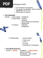 Uyda ona pornosini tomosha qiling