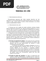 TRIBUNAL DO JÚRI (2)