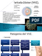 Virus Varicela-Zóster (VVZ)