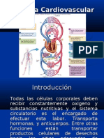 Sistema Cardiovascular.ppt