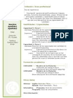 Curriculum Vitae Modelo3b Verde