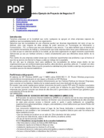 Modelos Ejemplo Proyecto Negocios It