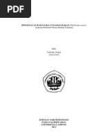 Download PENGENALAN HAMA PADA TANAMAN KAKAOdocx by Ciung Wanara SN145817704 doc pdf