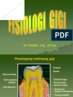 Anatomi Fisiologi 2