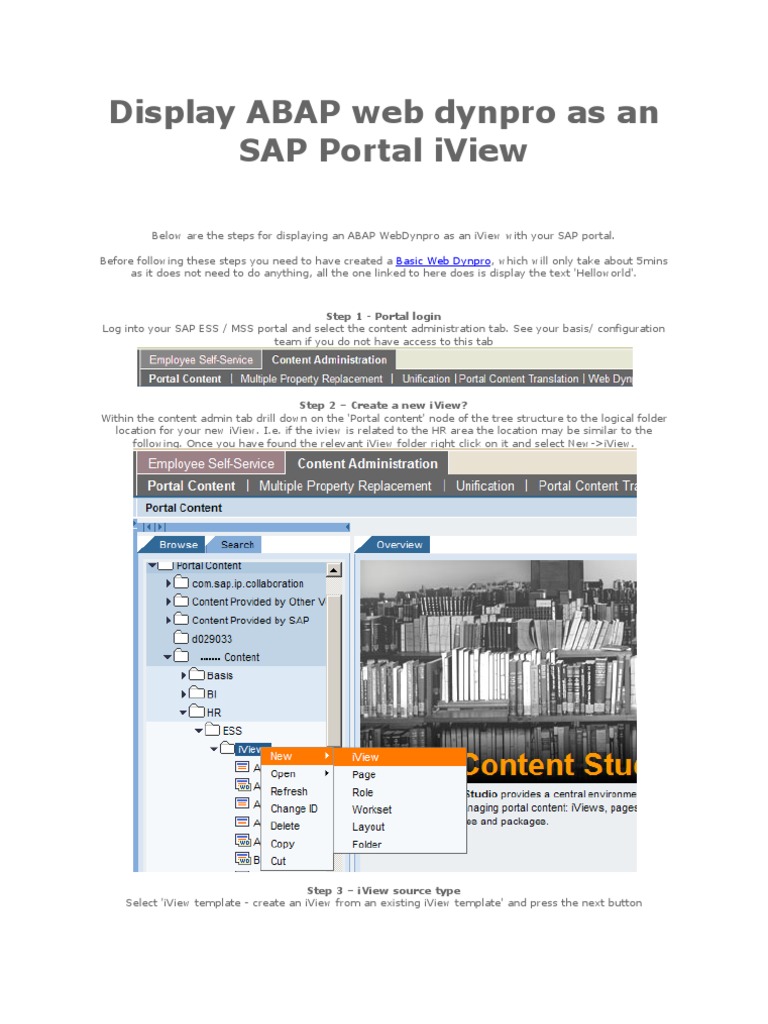 Display ABAP Web Dynpro As An SAP Portal Iview | PDF | Computer ...