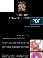 3 220413 Patologia Del Apendice Cecal