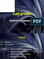 Curs topografie cap+gat