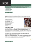 El papel del padre en el día a día