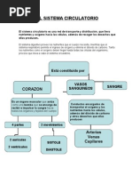 Resumen Sistema Circulatorio (5to Básico)
